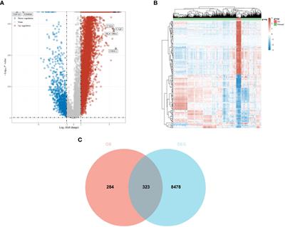 LASSO-based screening for potential prognostic biomarkers associated with glioblastoma